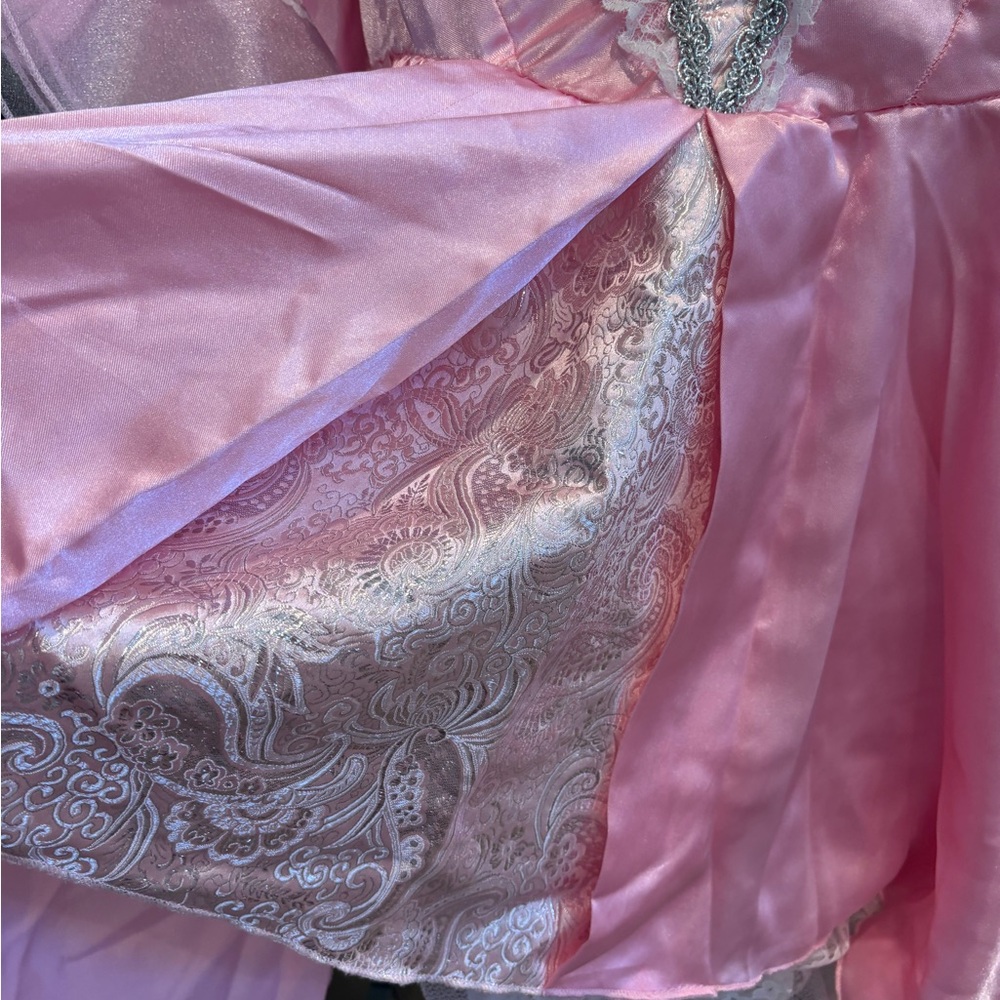 Marie Antoinette Costume - Picture 3 of 3